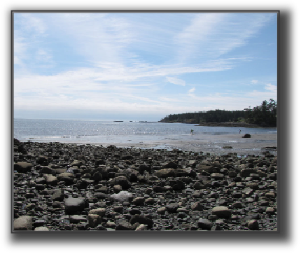 Rocks on beach.jpg