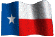 3dTexasFlag