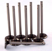 T3052  Valves, Stainless Steel