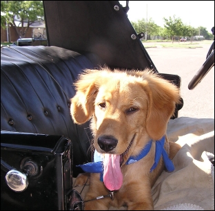 New fan - First Day.jpg