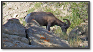 IMG_1576A.JPG
