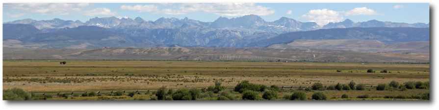 813header.jpg