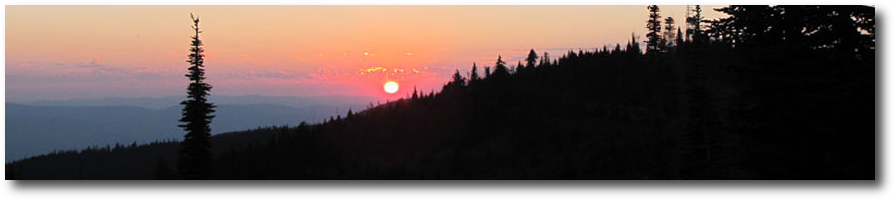 805header.jpg