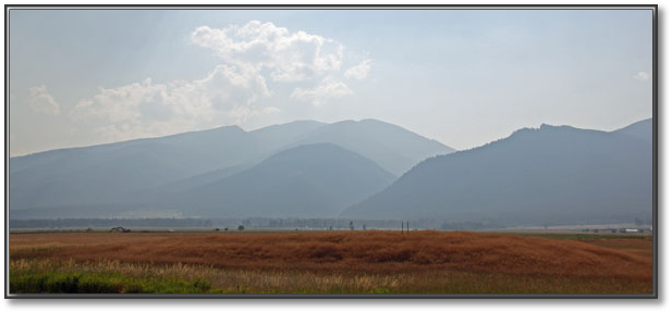 IMG_1068.jpg