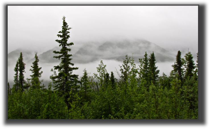 IMG_5920.JPG