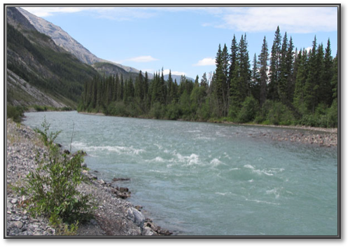 River.jpg