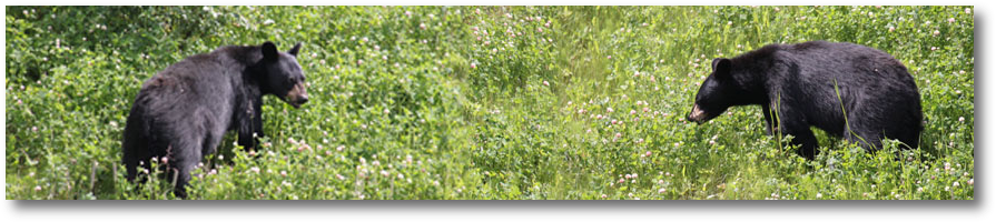 721header.jpg