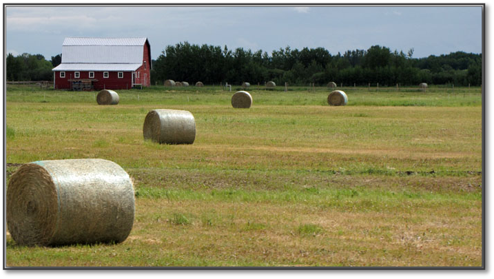 Barn.jpg