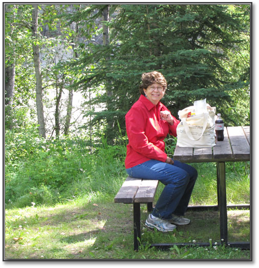 NancysPicnic.jpg