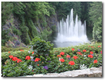 IMG_0037-A.jpg