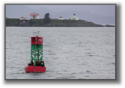 Sealsonbuoy.jpg